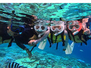 Diving Shop Nalu�̎ʐ^4