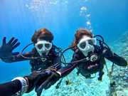 Diving Shop Nalu�̎ʐ^2