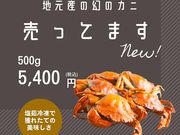 Asukafs House \㗢q̎ʐ^3