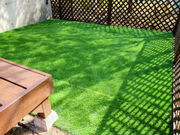 ꓏݂̃][gOnEX Piilo̎ʐ^4