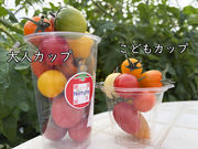 �Ƃ܂Ǝ��̃l�C�`���[�̎ʐ^2