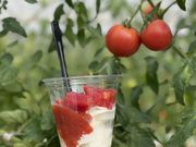 �Ƃ܂Ǝ��̃l�C�`���[�̎ʐ^3