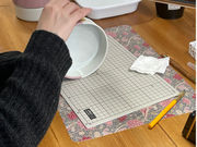 |[Z[cTblue daisy̎ʐ^3