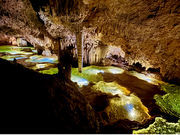 GreatNatureOkinoerabu̎ʐ^2