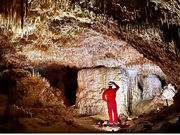 GreatNatureOkinoerabu̎ʐ^4