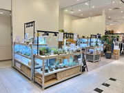 Terrariums���AER�X�̎ʐ^3