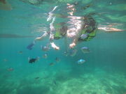 �}�������O�[���̎ʐ^4