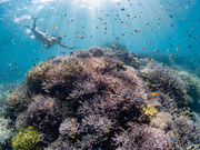 RECMARINE MIYAKOJIMA̎ʐ^3