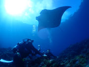 �`�����u���[�̎ʐ^2