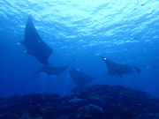 �`�����u���[�̎ʐ^3