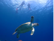 �`�����u���[�̎ʐ^4