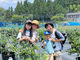 u[x[_Toyotaڂ̎ʐ^3