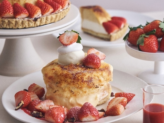 �J�t�F&�u�b�N�X �r�u���I�e�[�N cafe&books bibliotheque �V�_�X�̎ʐ^1