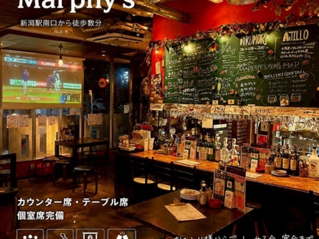 �w��o�� Marphy s �}�[�t�B�[�Y�̎ʐ^1