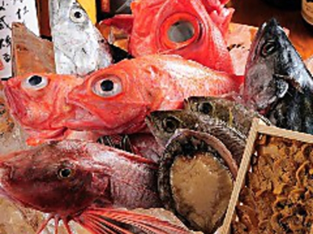  ╽ KITTE ۂ̓X̎ʐ^1