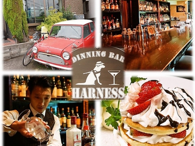 n[lX Harness Ð̎ʐ^1