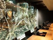 ɂق񂢂Yc  炽 {X̎ʐ^1