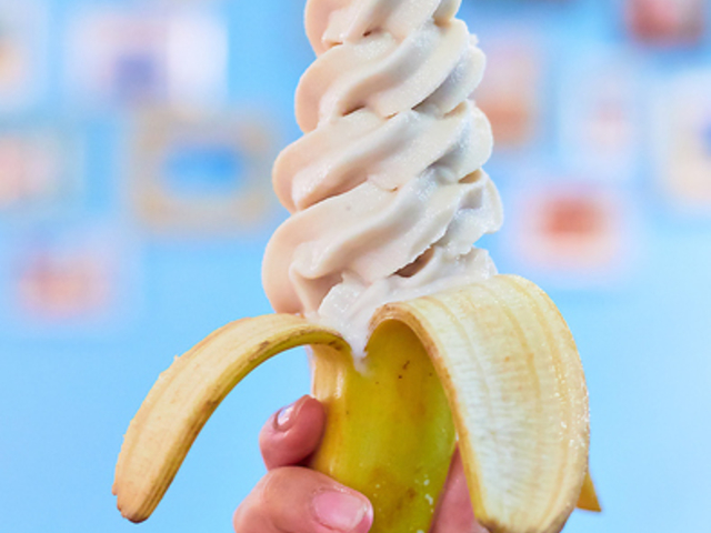 nCA_CjO&JtF Poket hX̎ʐ^1