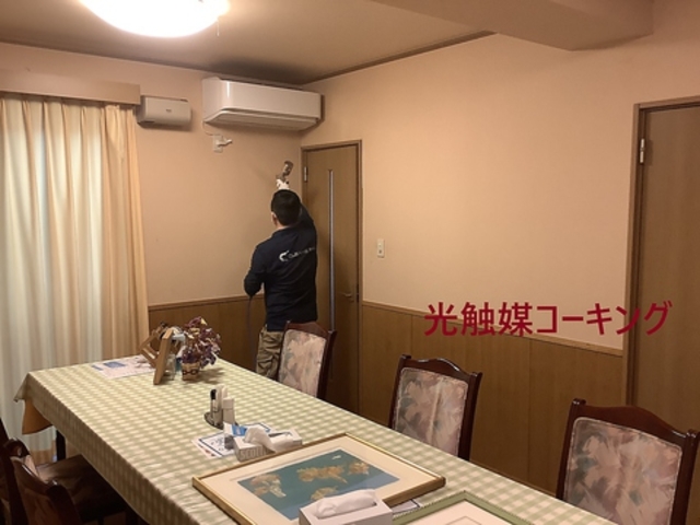 ���X�g���� �g���C�J�̎ʐ^1