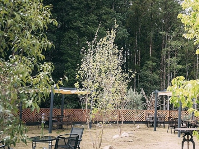 TAKIBIYA&CafeRICO ^Lr̎ʐ^1