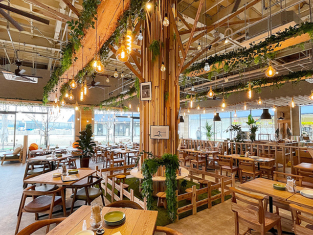 kino-COCOCHI yokohama LmRR`Rn}̎ʐ^1