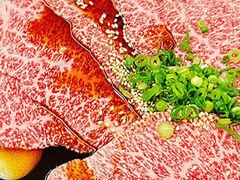 �ē��{�� �����̎ʐ^1