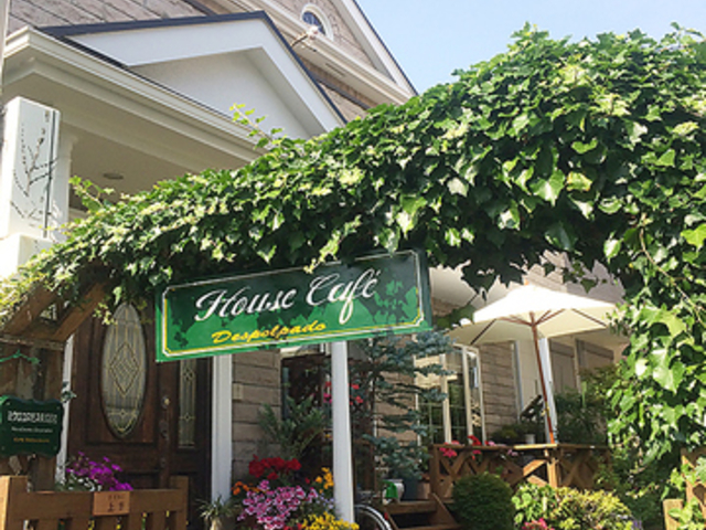 nEX JtF fX|p[h̎ʐ^1