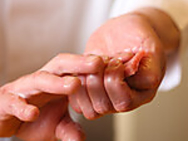 �V�h �������̎ʐ^1