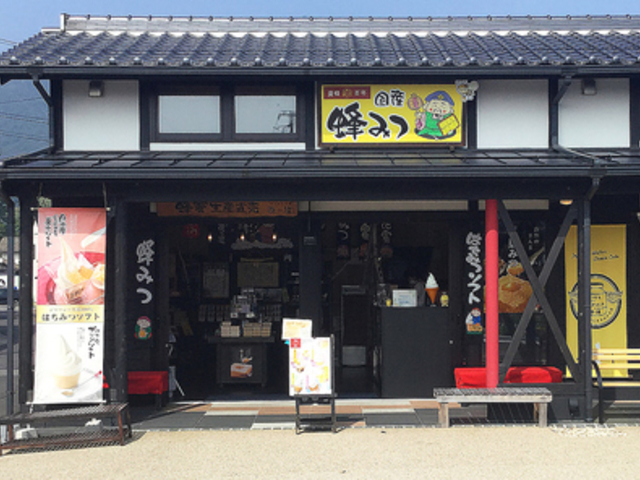 ݂΂H[ Ԃ̓ o_ГX̎ʐ^1