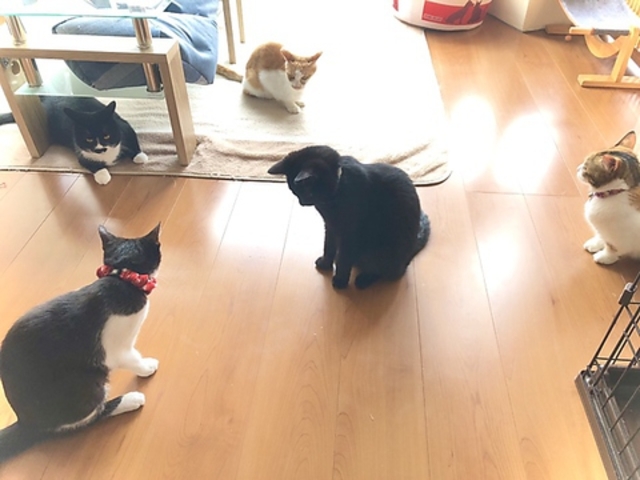 �ی�L�J�t�Fmoff moff�̎ʐ^1