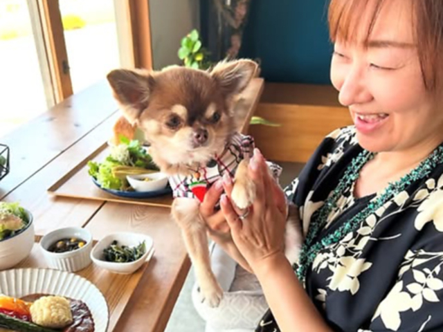 Bella donna xhi̎ʐ^1