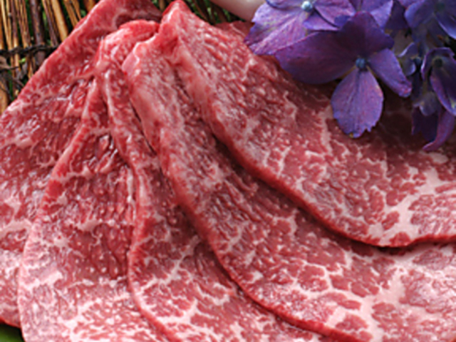 ������ �r�܂͂Ȃ�̎ʐ^1