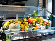 {iC^AXg Bel e Moco ixGRj̎ʐ^1