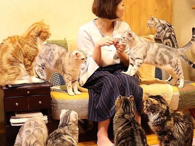 LJtF flat tail̎ʐ^1