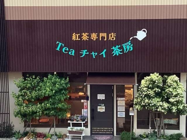 gX Tea `C [̎ʐ^1