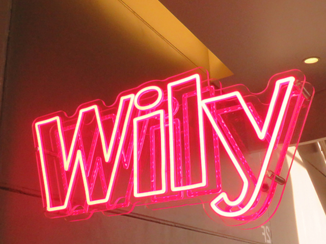 Wily EGfBO2~p[eB[̎ʐ^1