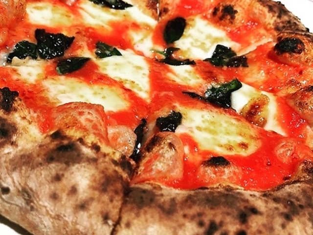 Piccolo266 sbRc̎ʐ^1