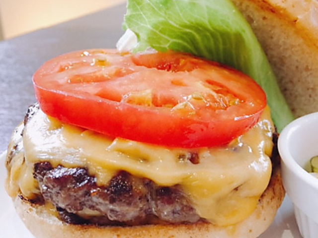 A TASTE G[ eCXg̎ʐ^1