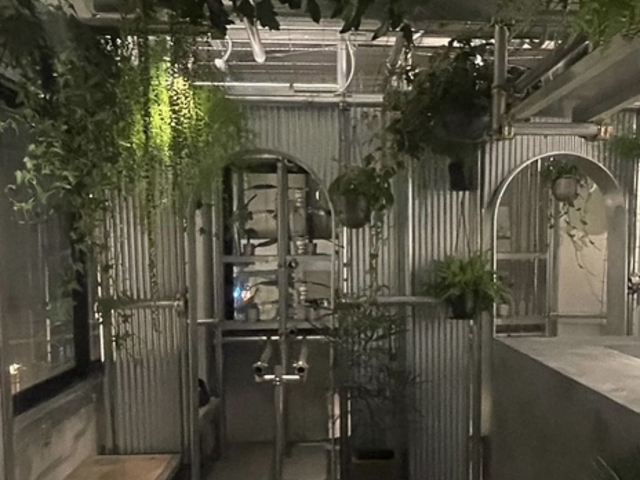 V[V JtF&o[ BOTANI̎ʐ^1