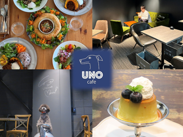 UNO cafe EmJtF̎ʐ^1