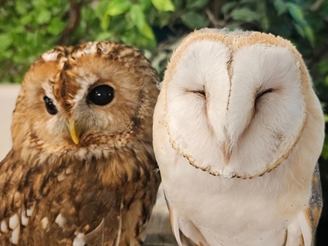 ӂ낤JtF 킽ǁ[ {{X̎ʐ^1