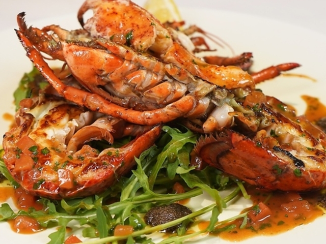 intellctuary AeN`A[̎ʐ^1