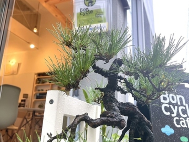 Boncycle cafe �{���T�C�N���J�t�F�̎ʐ^1