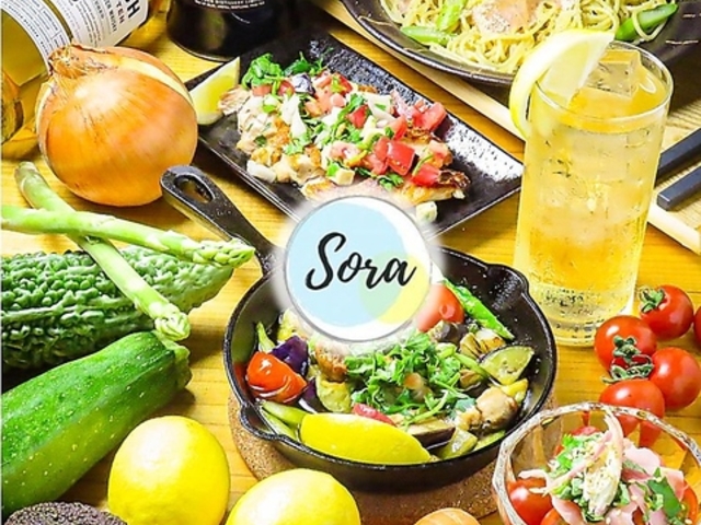 ؃_CjOo[ Sora \ Little Setouchi̎ʐ^1