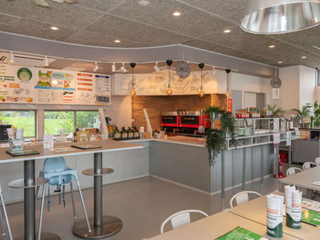 TT Brothers eB[eB[uU[Y̎ʐ^1