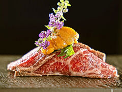 � ����w�̎ʐ^1