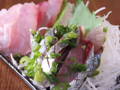 �Ύ����j�|�|�̎ʐ^1