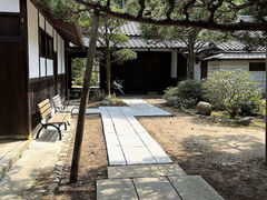 �R�쑐�V�v�E�q��̎ʐ^1