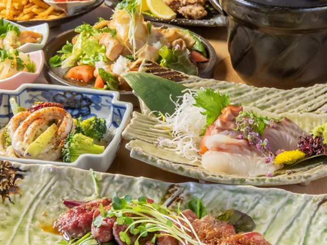 ������ �J�c���X�̎ʐ^1