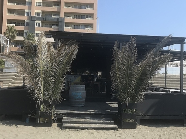 �r�[�`�J�t�F�̎ʐ^1